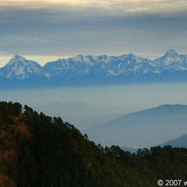 Trip to Pangot, Western Himalayas